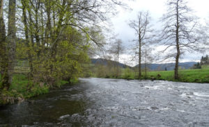 Séjours pêche mouche FLY FISHING Pyrénées